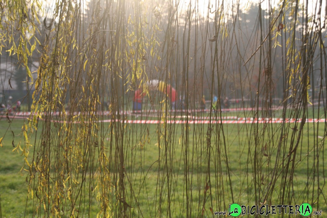 06/12/09 Torino, parco della Pellerina. 7° prova Trofeo Michelin ciclocross 2009/10